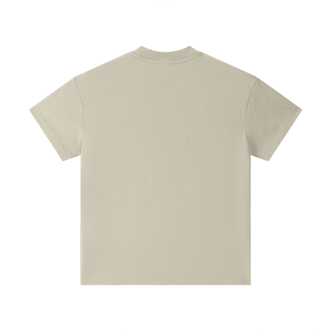 Nirbhau Nirvair Cotton T-Shirt